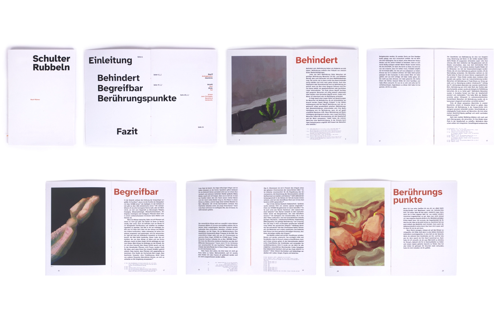 Beschreibung