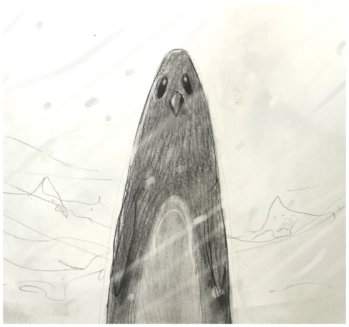 Storyboards